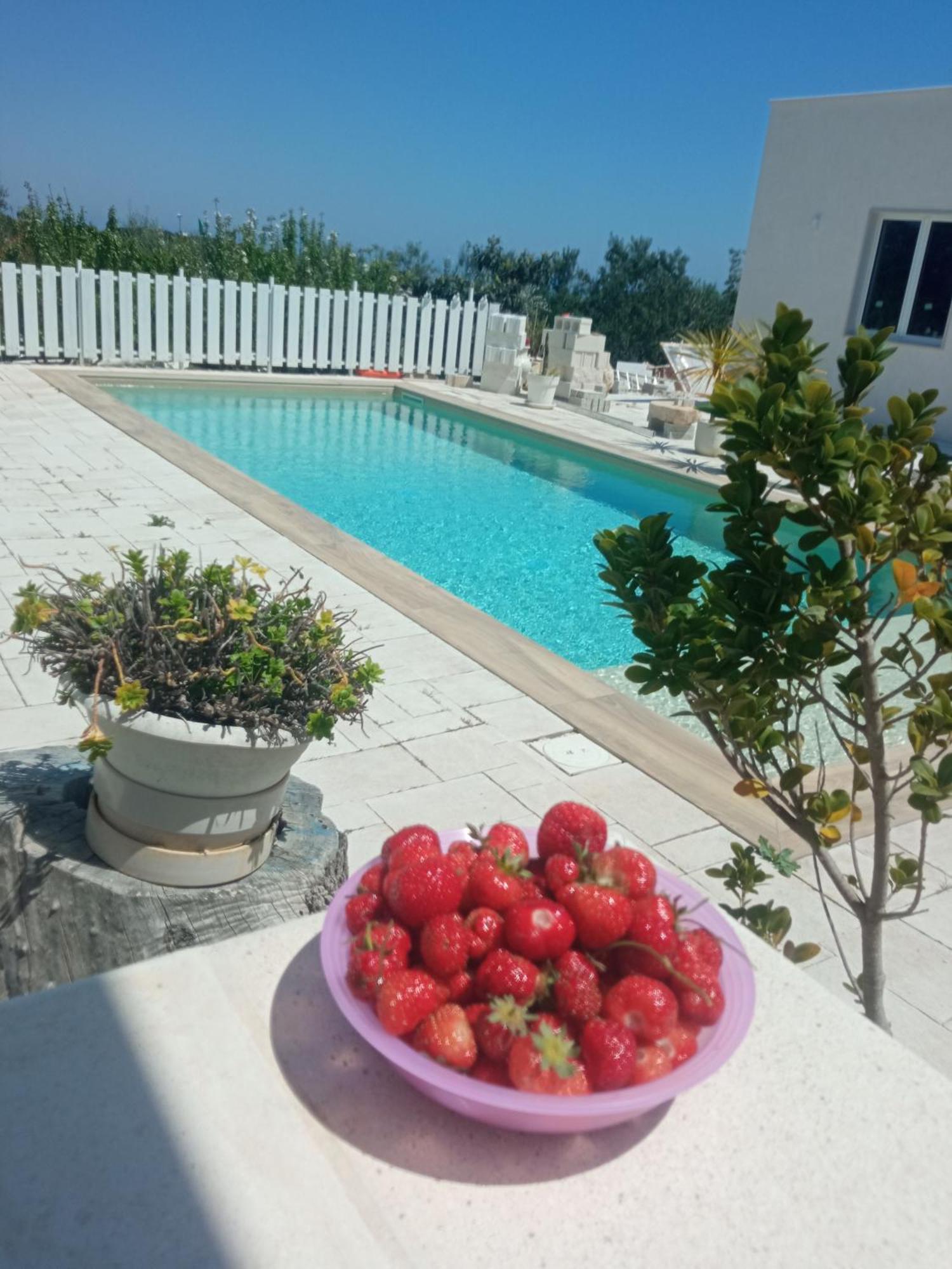 Vale & Frans Villa Monopoli Exteriör bild
